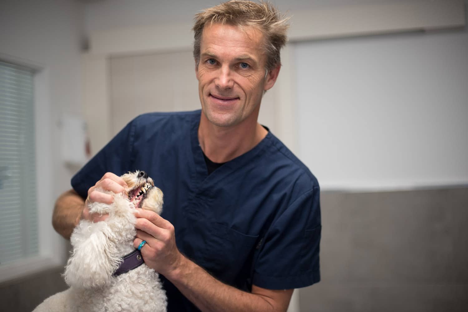 Accueil Clinique vétérinaire du Loup LaCollesurLoup