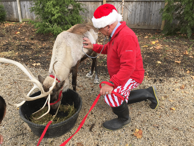 Santa-vet.png