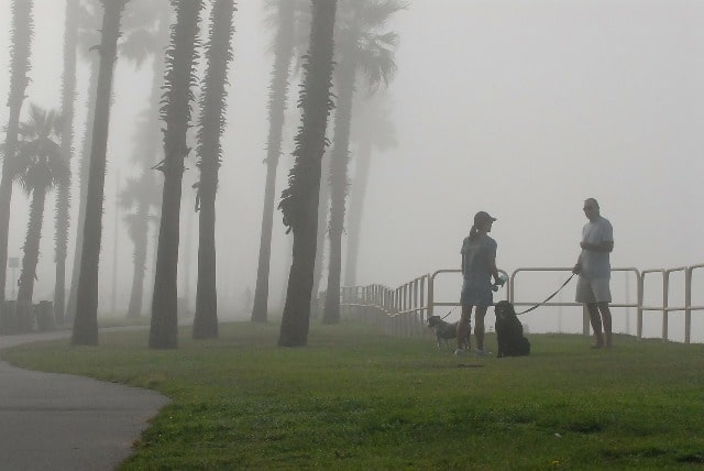 promenade